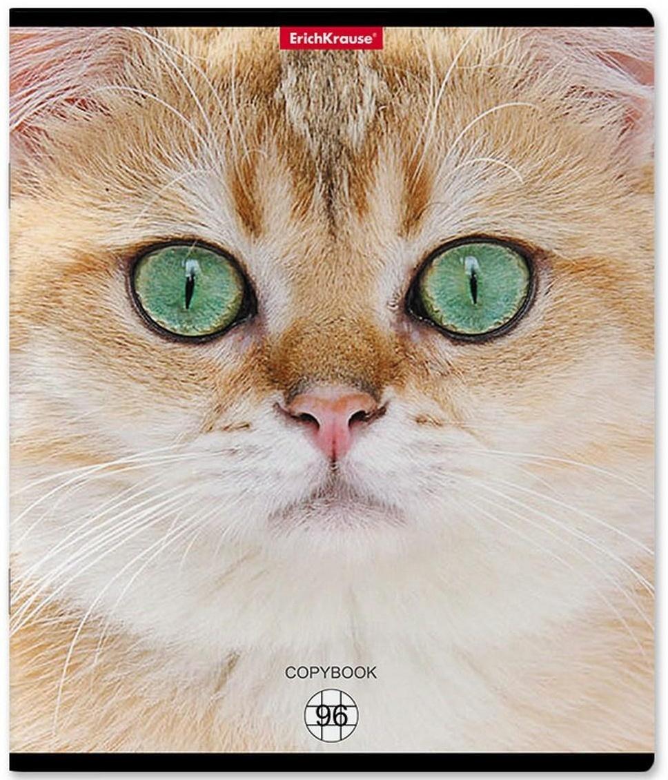 Тетрадь 96л кл ErichKrause Cats, матовая ламинация / Микс 1 шт.