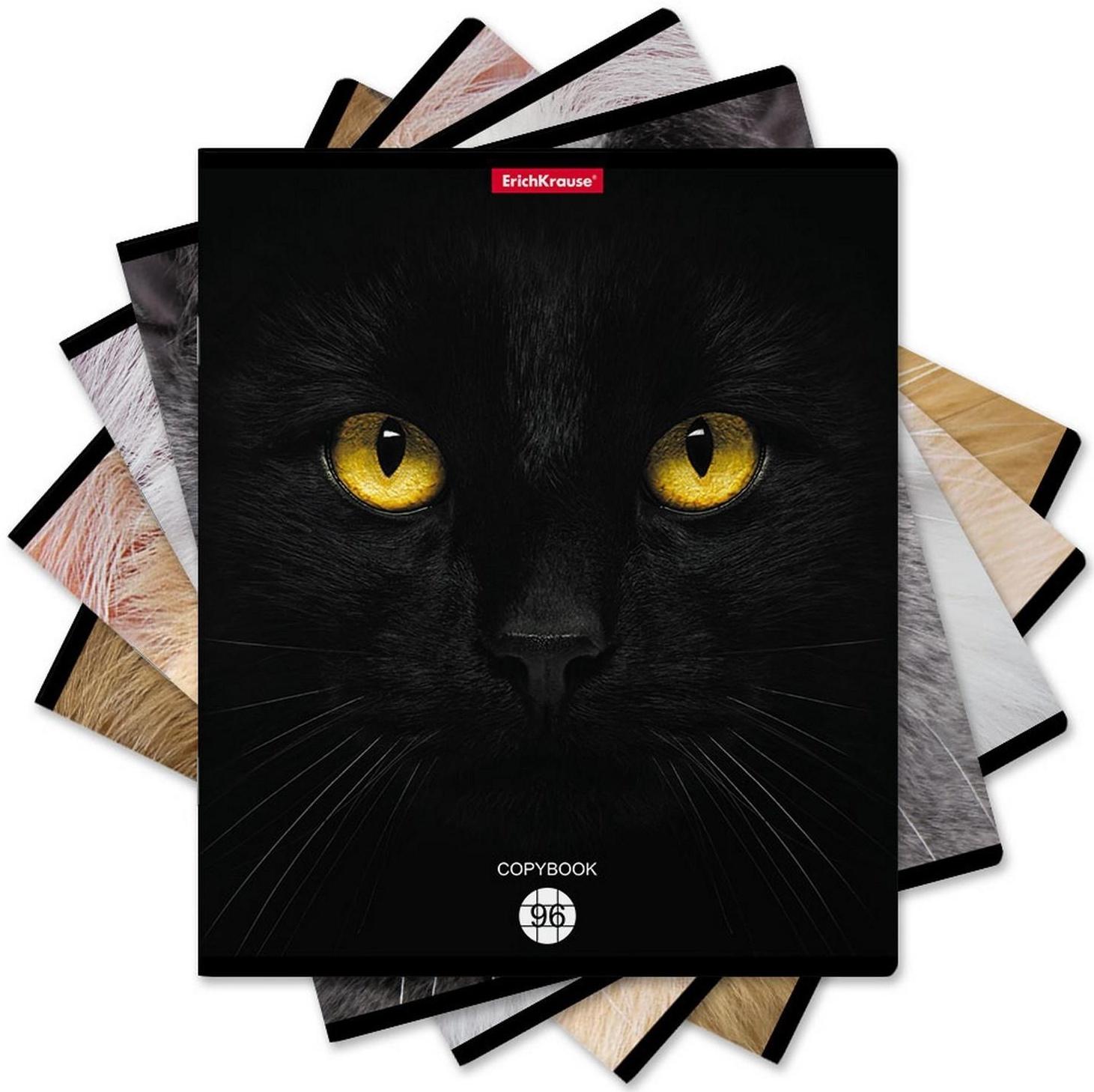 Тетрадь 96л кл ErichKrause Cats, матовая ламинация / Микс 1 шт.