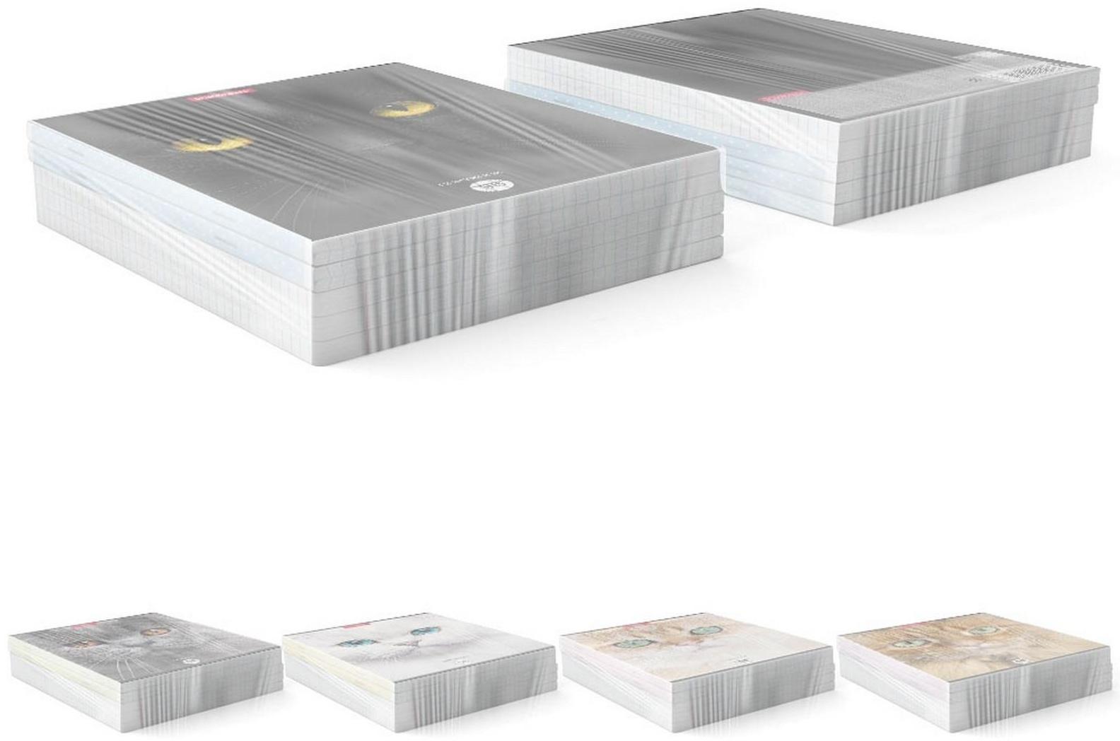 Тетрадь 96л кл ErichKrause Cats, матовая ламинация / Микс 1 шт.