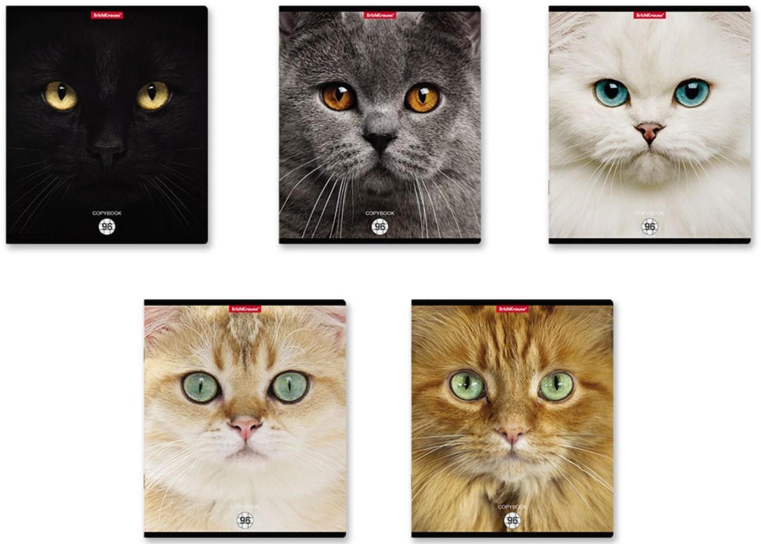 Тетрадь 96л кл ErichKrause Cats, матовая ламинация / Микс 1 шт.