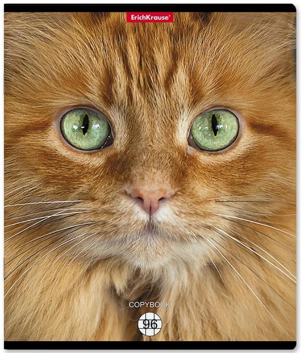Тетрадь 96л кл ErichKrause Cats, матовая ламинация / Микс 1 шт.