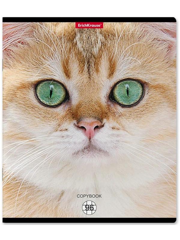 Тетрадь 96л кл ErichKrause Cats, матовая ламинация / Микс 1 шт.