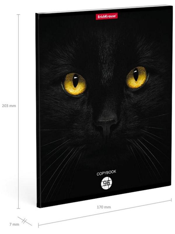 Тетрадь 96л кл ErichKrause Cats, матовая ламинация / Микс 1 шт.