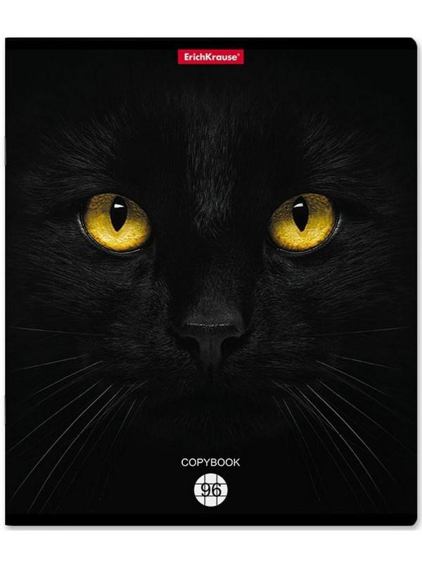 Тетрадь 96л кл ErichKrause Cats, матовая ламинация / Микс 1 шт.