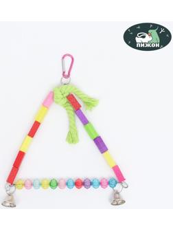 Качели для птиц, 20 х 16 см, микс цветов