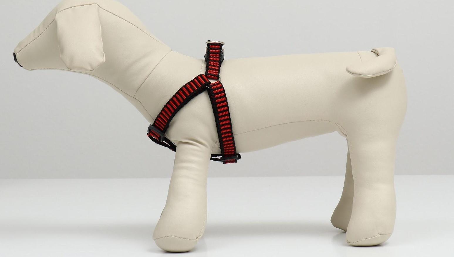 Шлейка рельефная 36-49 х 1,5 см, красно-чёрная