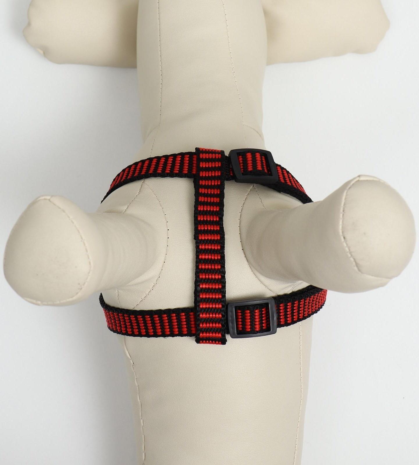 Шлейка рельефная 36-49 х 1,5 см, красно-чёрная