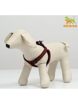 Шлейка рельефная 36-49 х 1,5 см, красно-чёрная