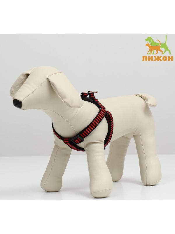 Шлейка рельефная 36-49 х 1,5 см, красно-чёрная