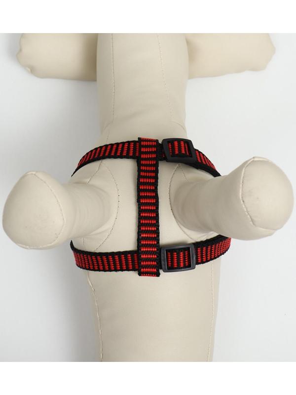 Шлейка рельефная 36-49 х 1,5 см, красно-чёрная