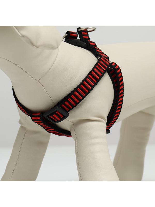 Шлейка рельефная 36-49 х 1,5 см, красно-чёрная