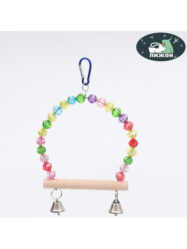 Качели для птиц с деревянной жердочкой 18 х 19 см, микс цветов