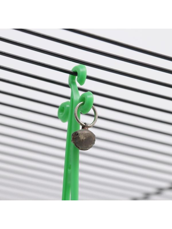 Качели для птиц, 9,5 х 9,5 см, микс цветов