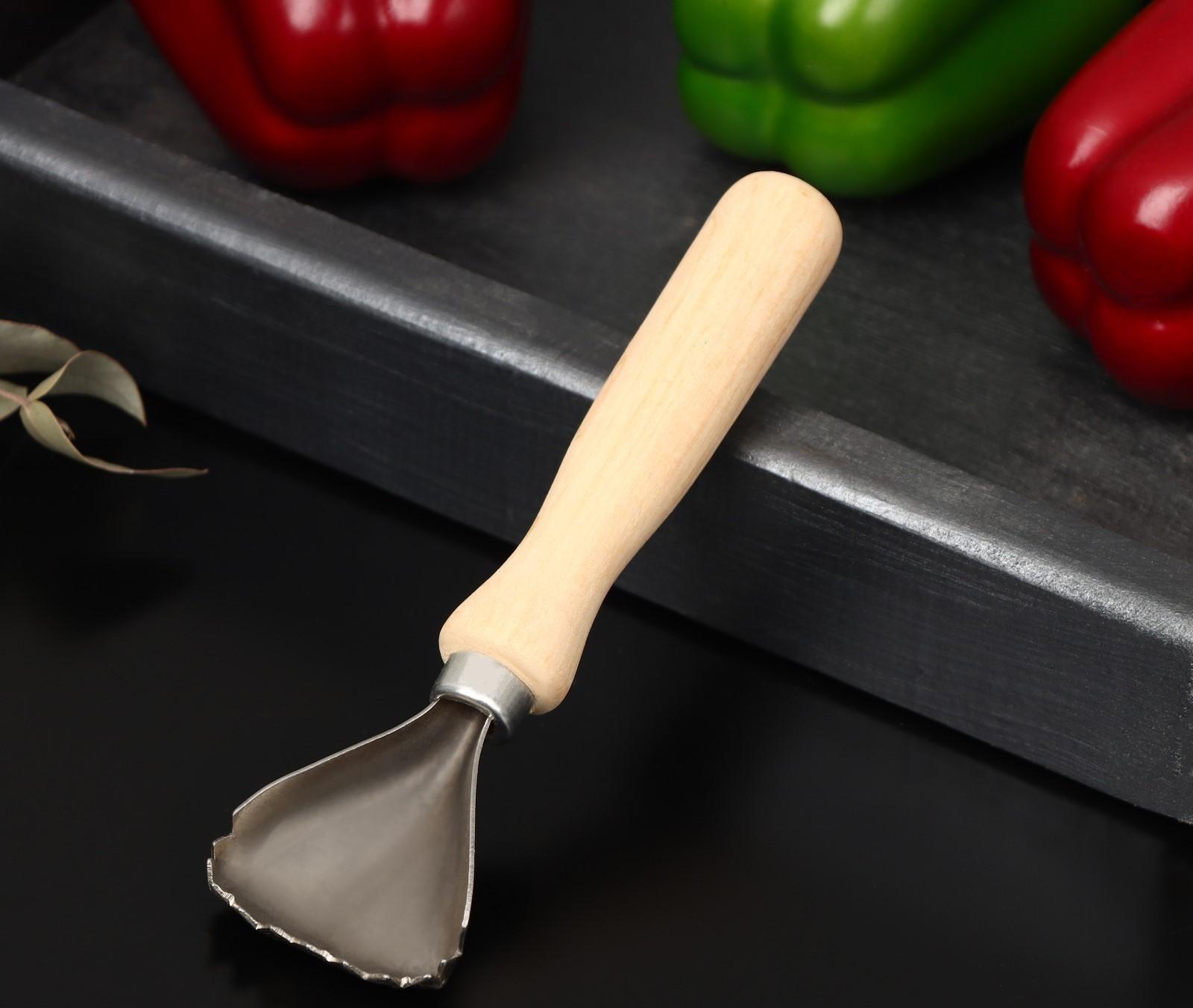 Рыбочистка «Традиционная», 15×5 см, с деревянной ручкой