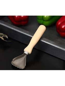 Рыбочистка «Традиционная», 15×5 см, с деревянной ручкой