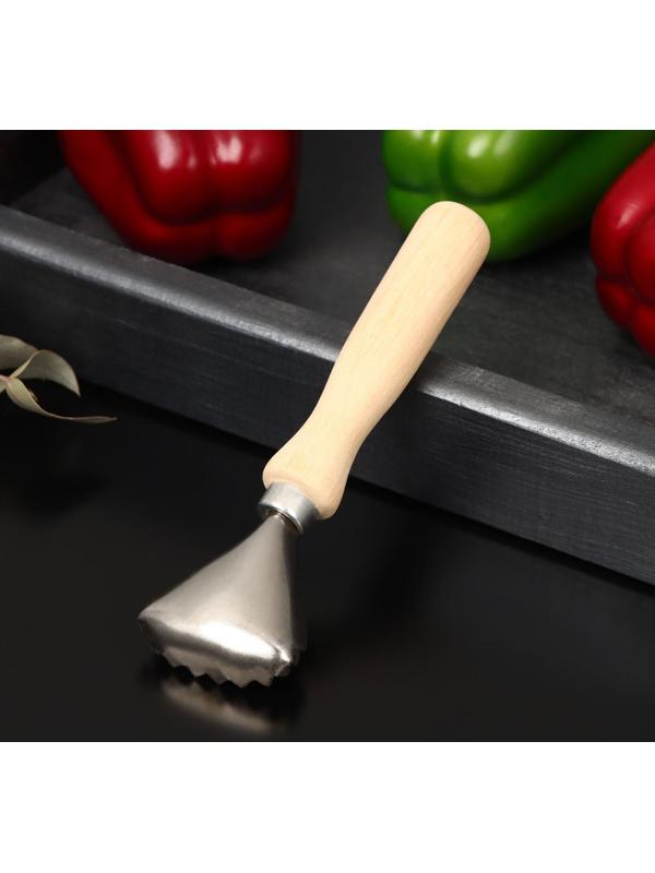 Рыбочистка «Традиционная», 15×5 см, с деревянной ручкой