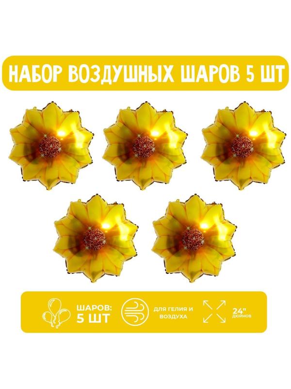 Набор шар фольгированный 24