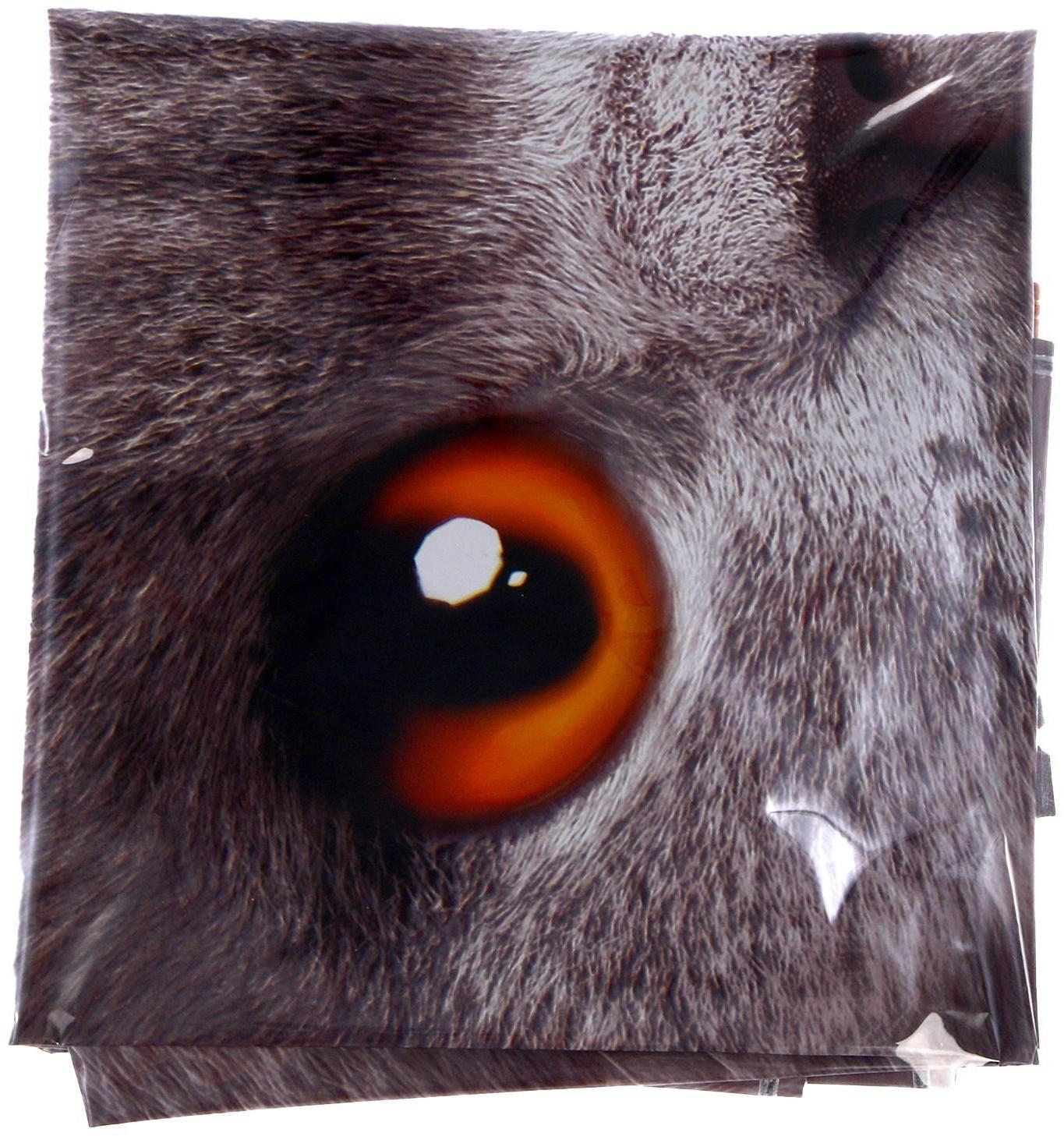 Набор фольгированных шаров 18