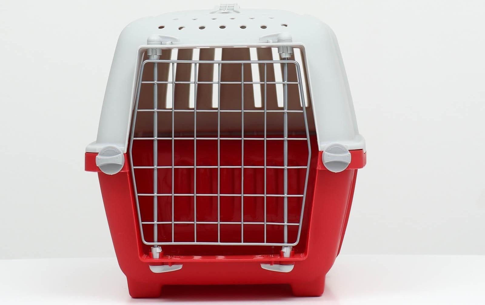 Переноска пластиковая 47 х 30 х 35 см, вес до 9 кг, красная