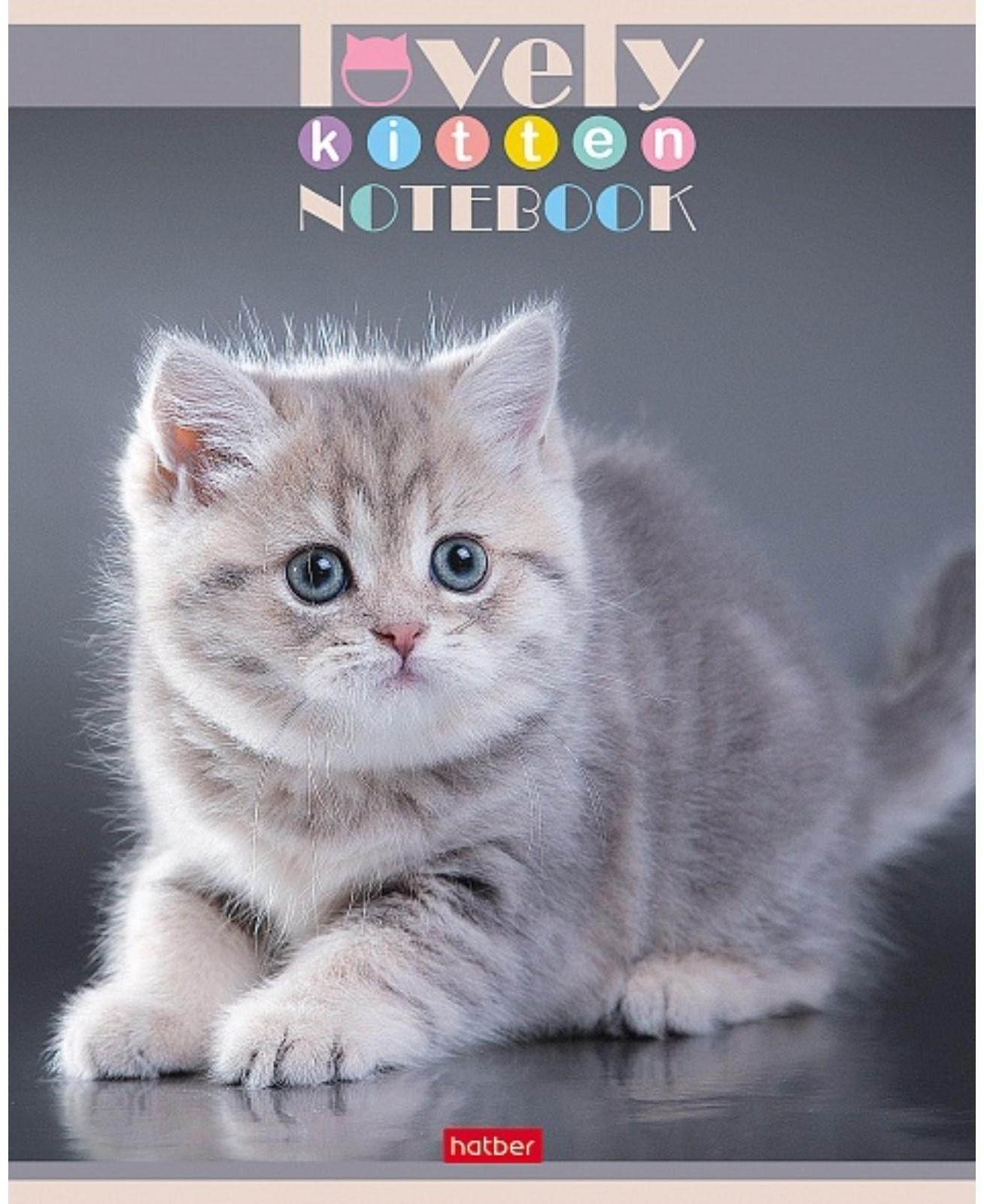 Тетрадь 60 листов в клетку, 