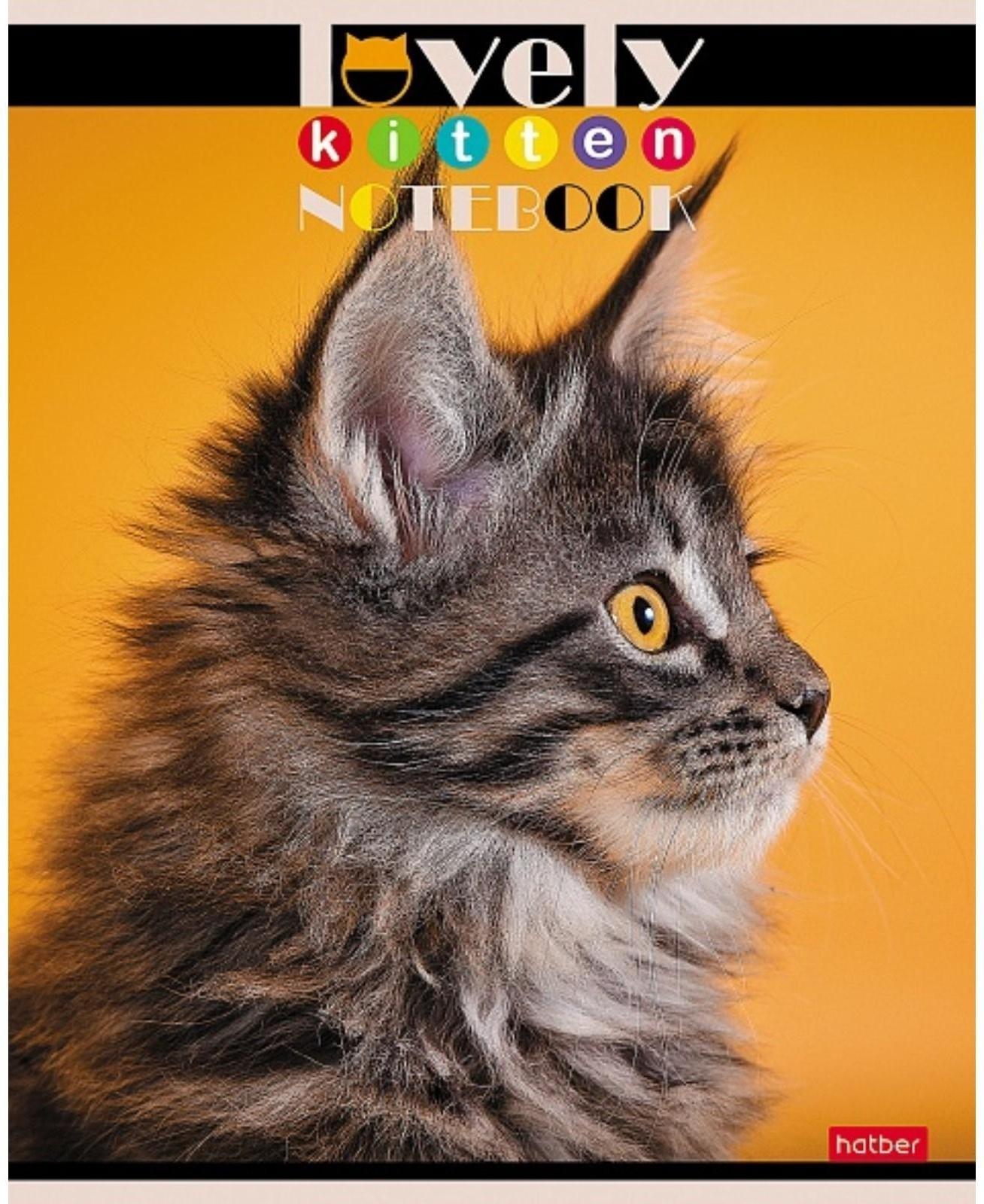 Тетрадь 60 листов в клетку, 