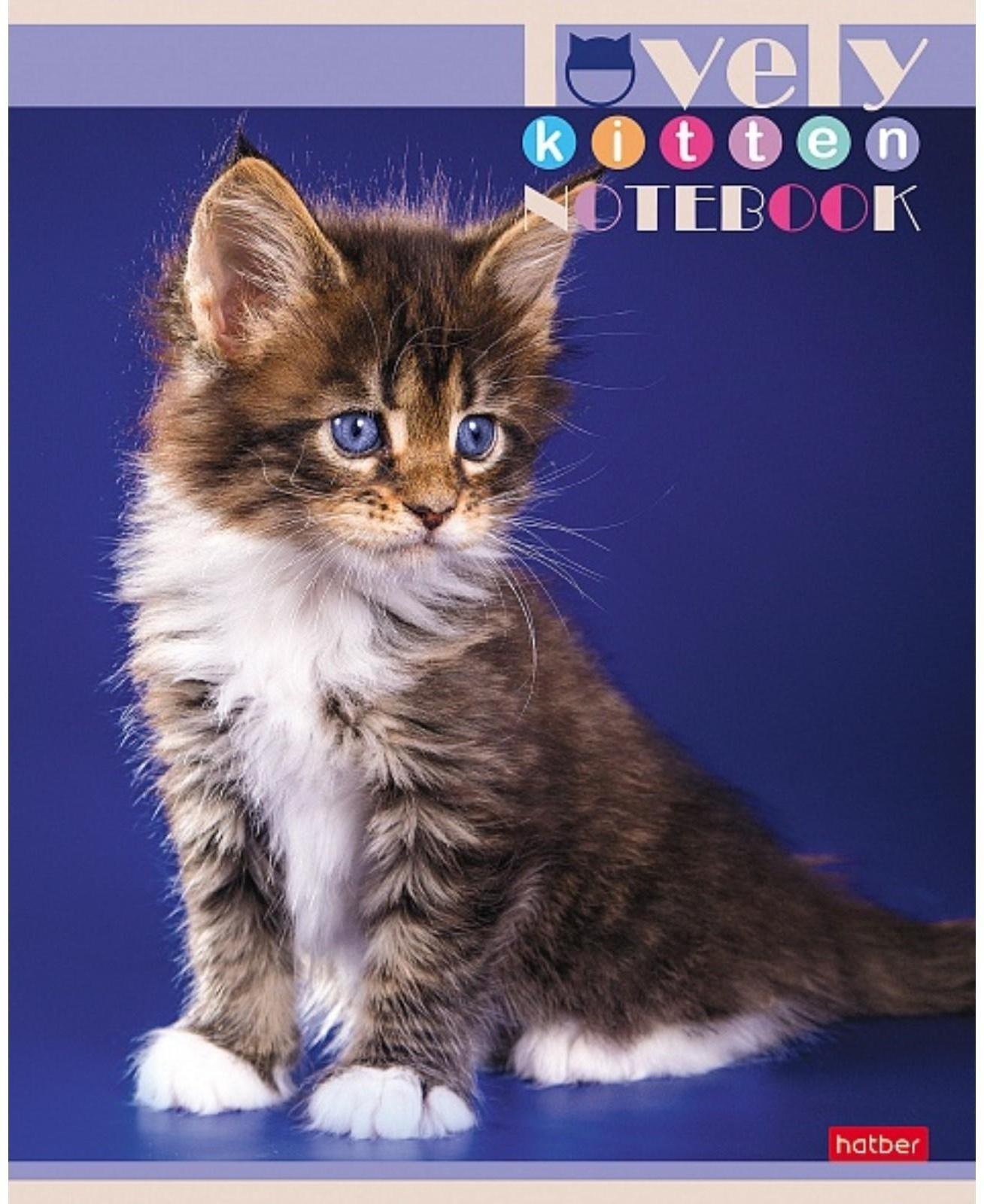 Тетрадь 60 листов в клетку, 