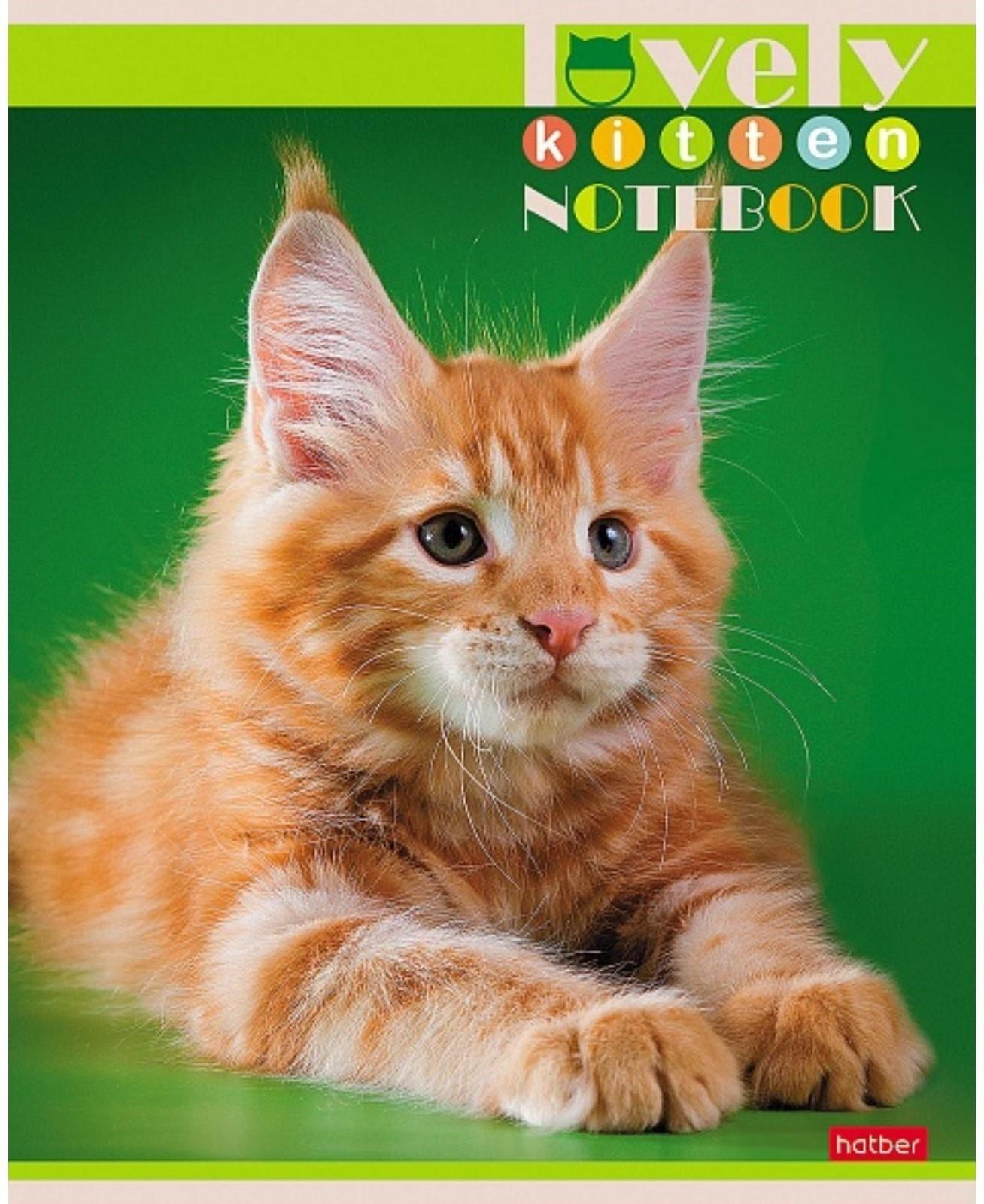 Тетрадь 60 листов в клетку, 