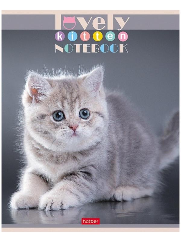 Тетрадь 60 листов в клетку, 