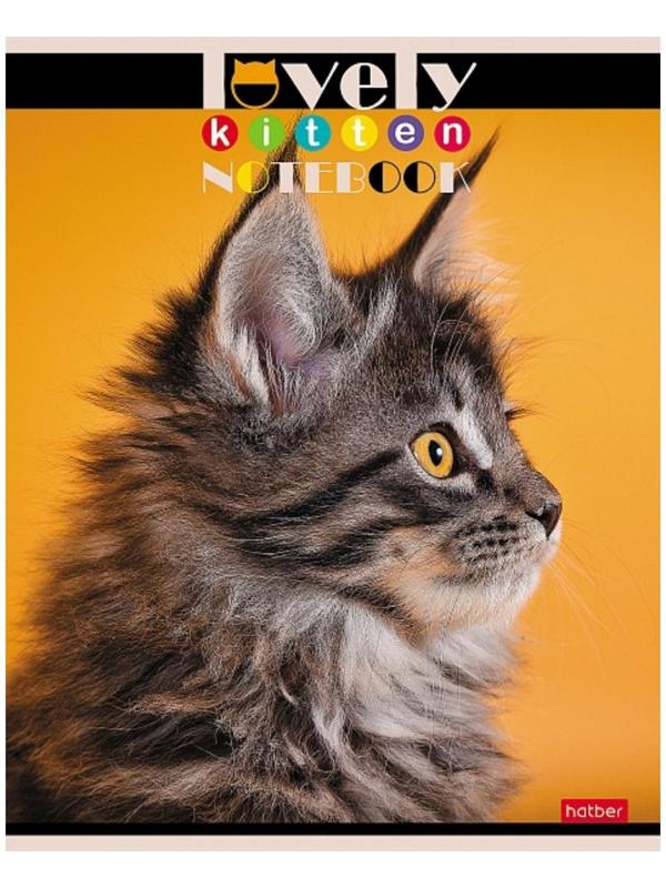 Тетрадь 60 листов в клетку, 