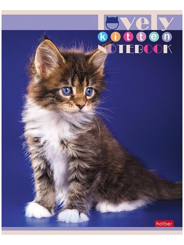 Тетрадь 60 листов в клетку, 