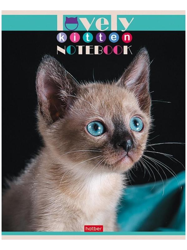 Тетрадь 60 листов в клетку, 