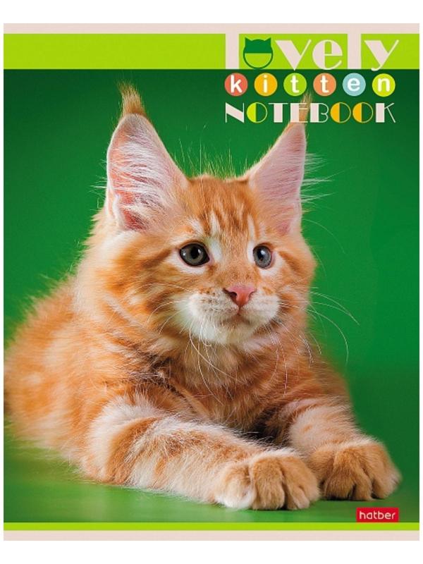 Тетрадь 60 листов в клетку, 