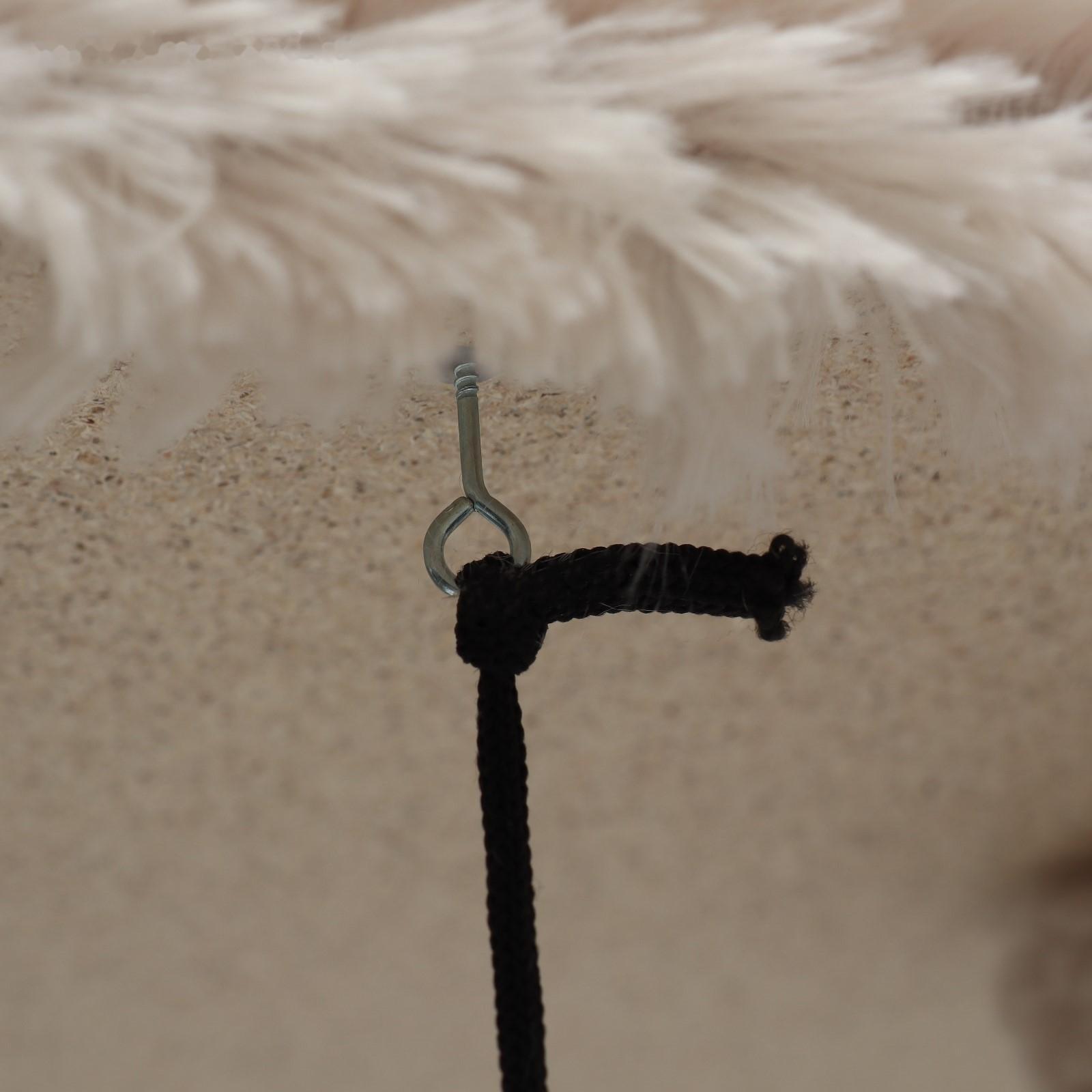 Когтеточка 