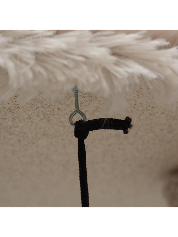 Когтеточка 