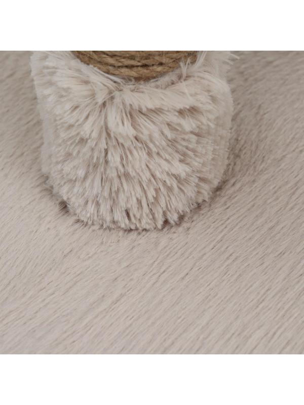 Когтеточка 