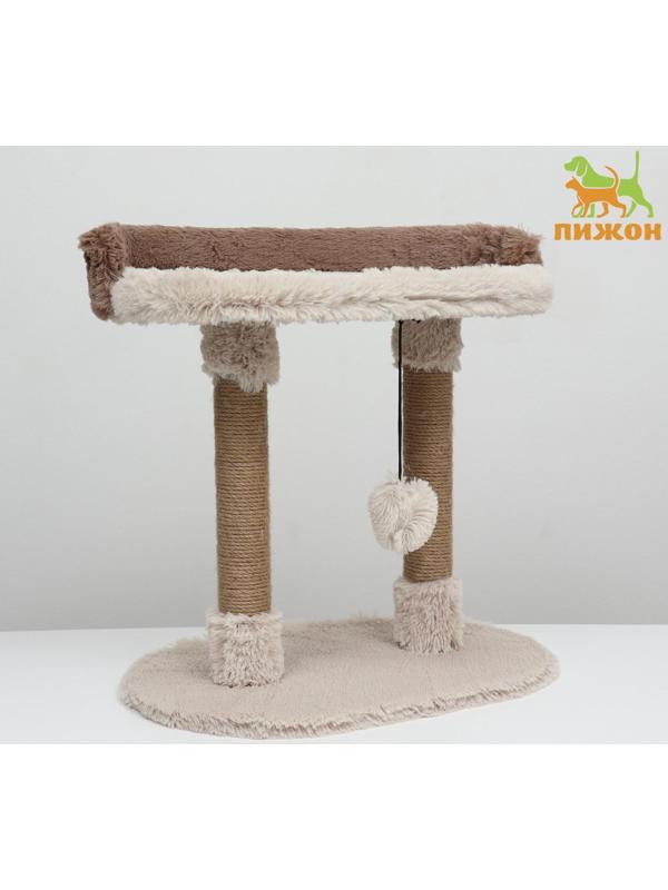 Когтеточка 