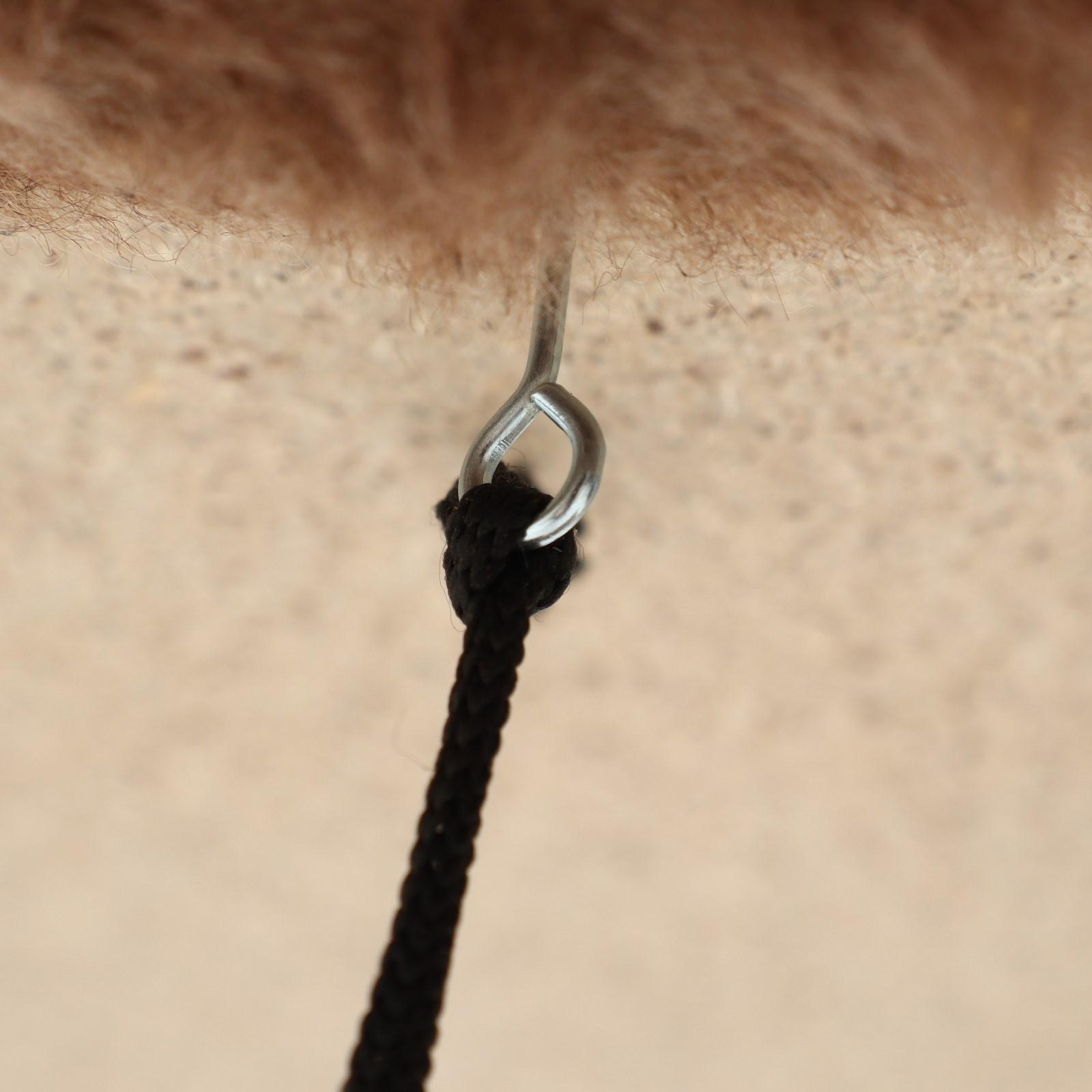 Комплекс-когтеточка 