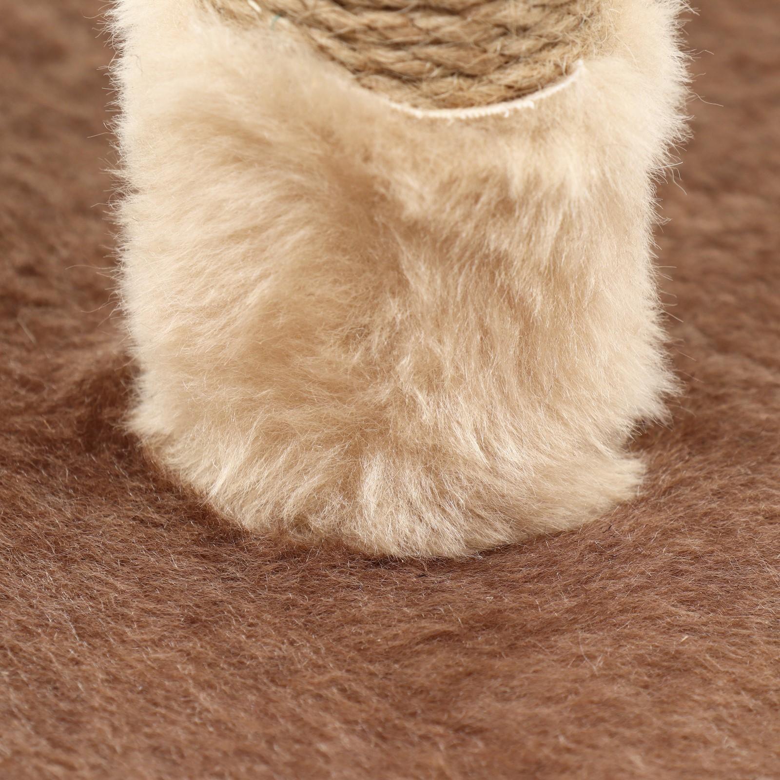 Комплекс-когтеточка 