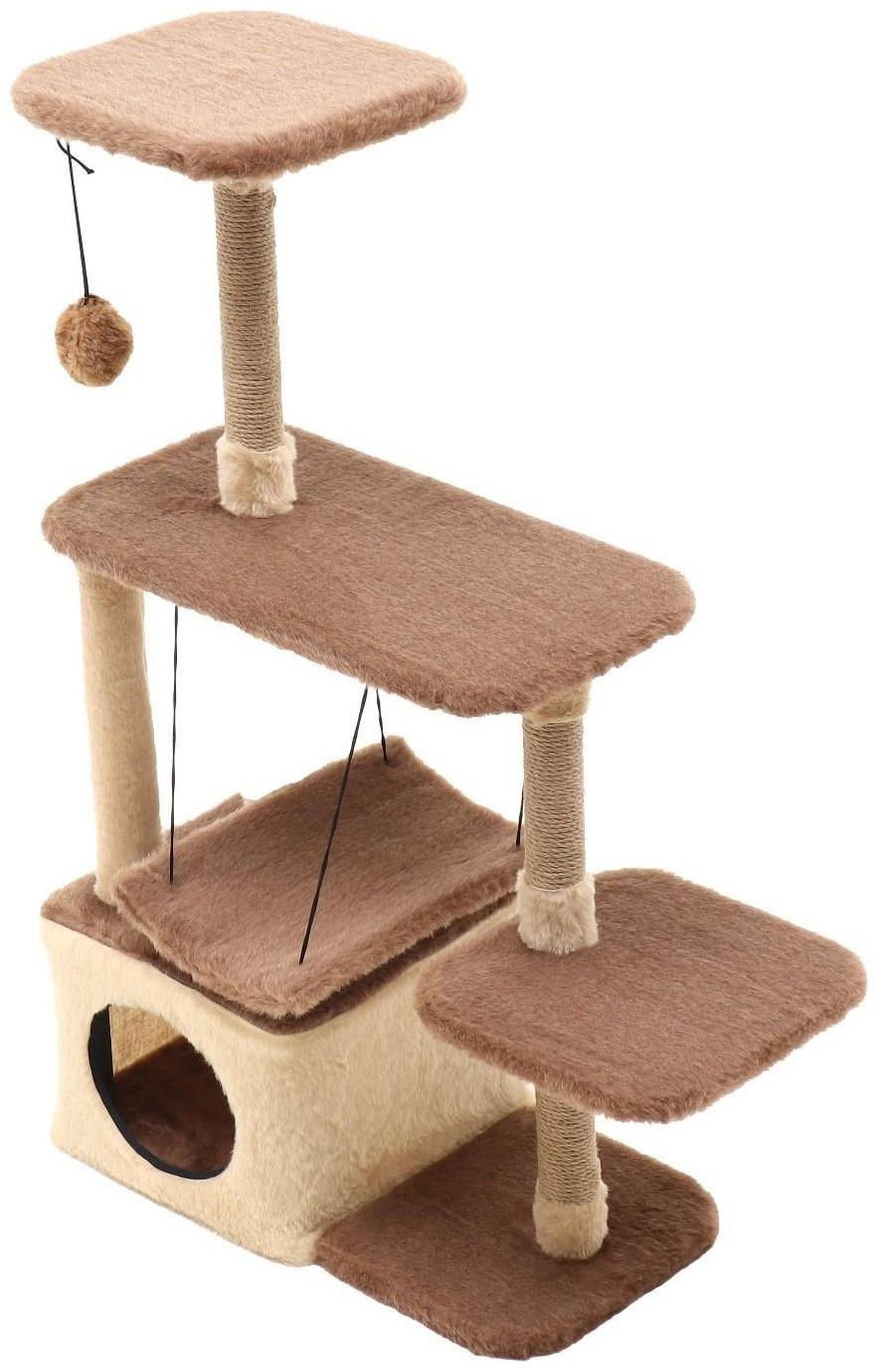 Комплекс-когтеточка 