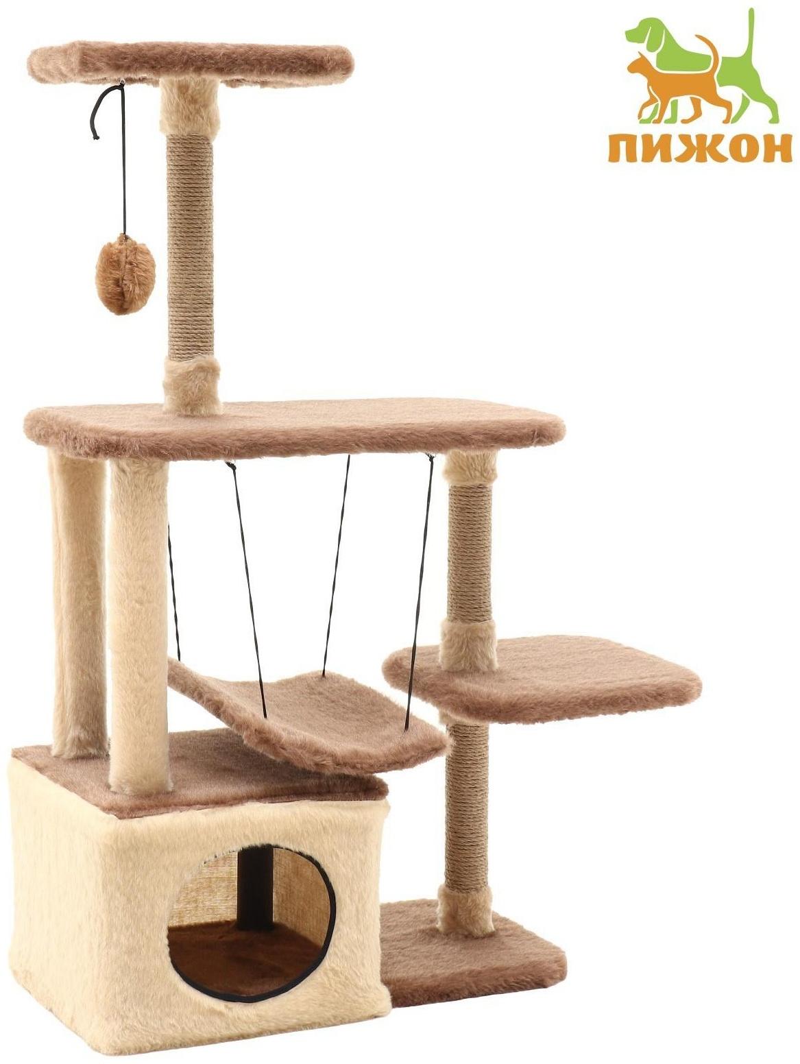 Комплекс-когтеточка 