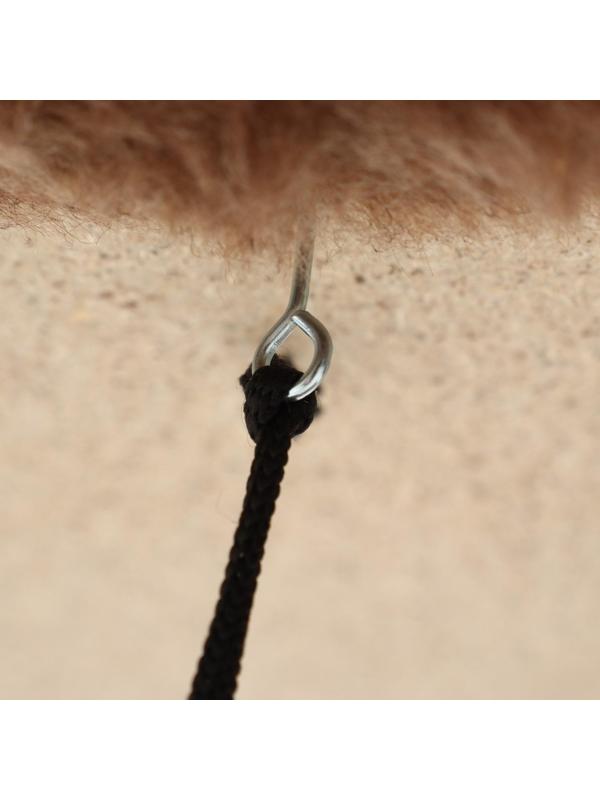 Комплекс-когтеточка 