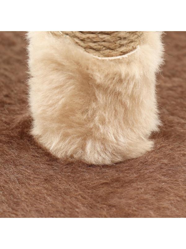 Комплекс-когтеточка 