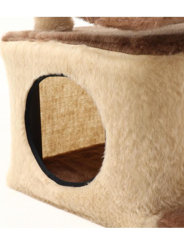 Комплекс-когтеточка 