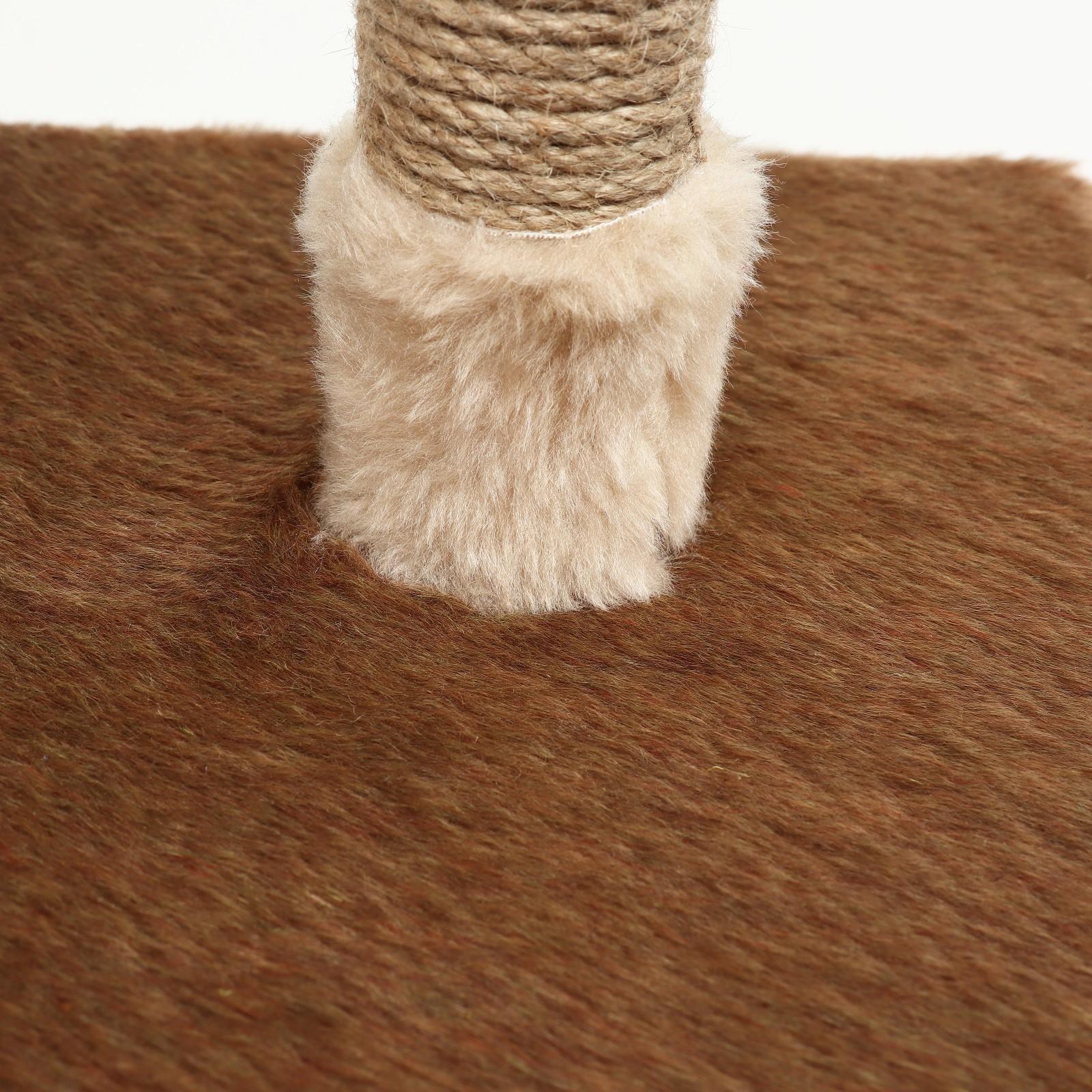 Комплекс-когтеточка 