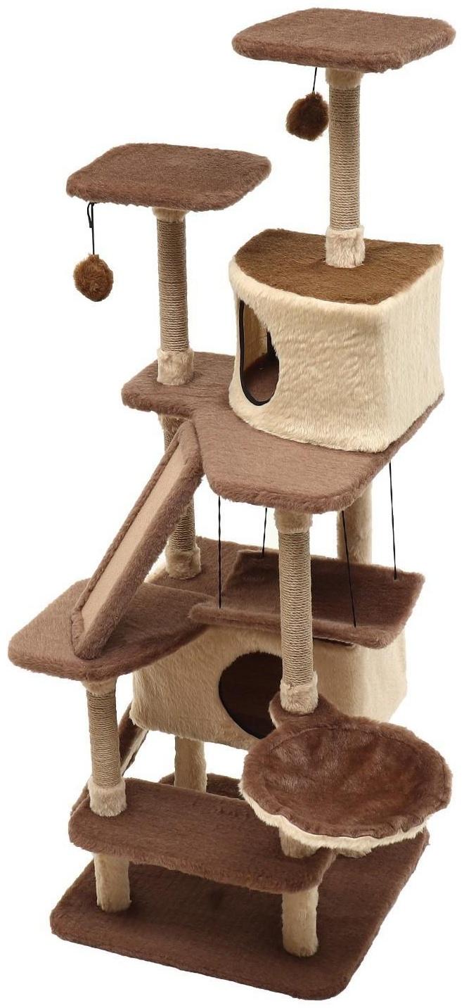 Комплекс-когтеточка 