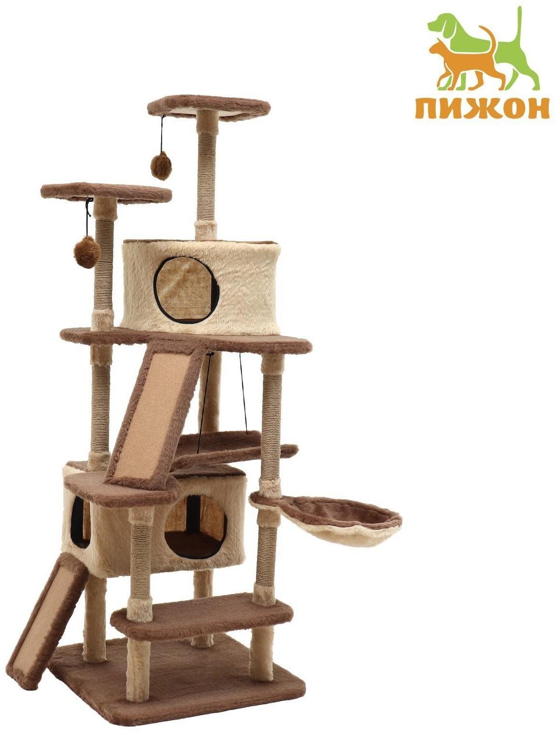 Комплекс-когтеточка 