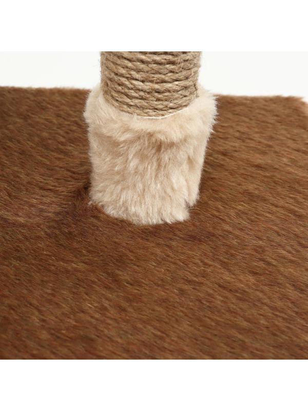 Комплекс-когтеточка 