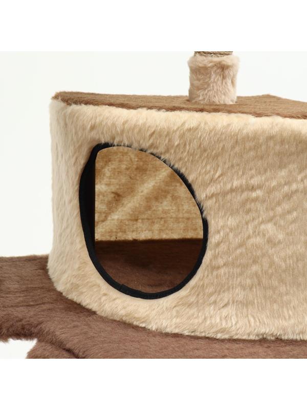 Комплекс-когтеточка 