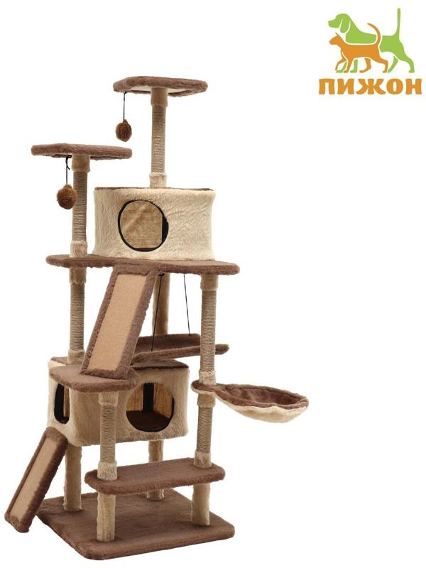 Комплекс-когтеточка 