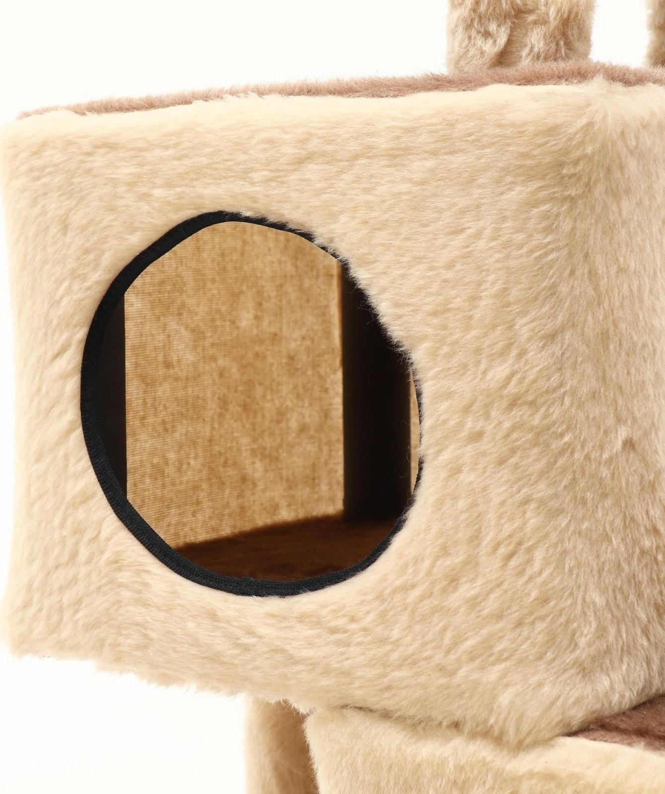 Комплекс-когтеточка 